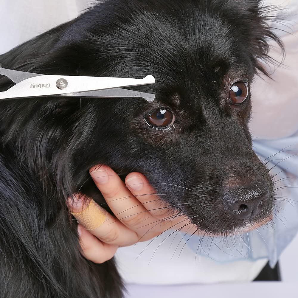 Dog Grooming Scissors Set with Safety round Tips Stainless Steel Dog Eye/Face Cut Shears, Home Professional Pet Grooming Scissros Kit for Dogs,Cats and Furry Animals, 6.7"- Pack of 2