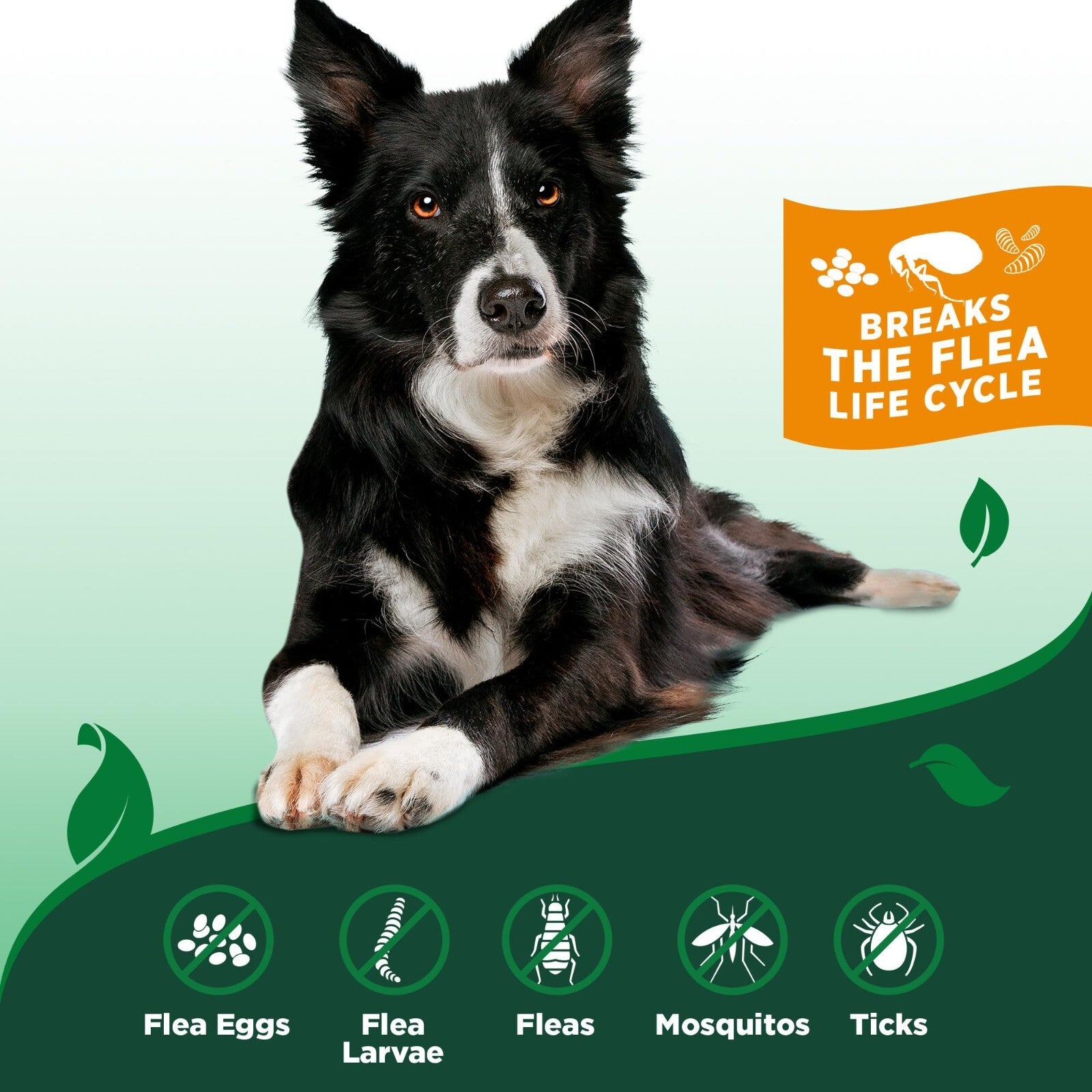 Vet'S Best Flea and Tick Home Spray Flea Treatment for Dogs/Cats 32Oz. Order Now